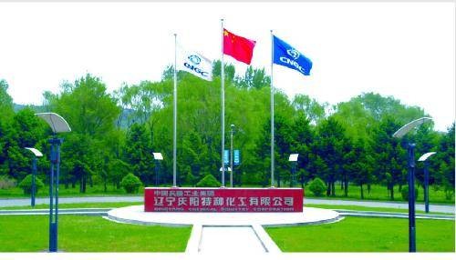 辽宁庆阳化工有限公司