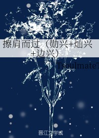 擦肩而过（勋兴+灿兴+边兴）