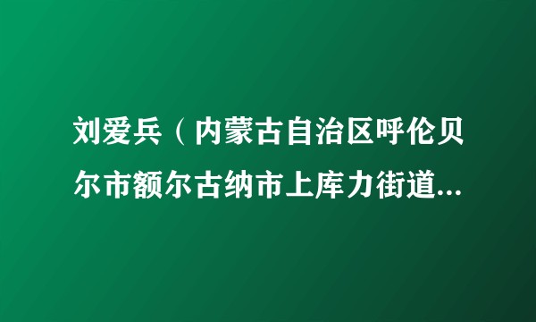 刘爱兵（内蒙古自治区呼伦贝尔市额尔古纳市上库力街道党工委书记）