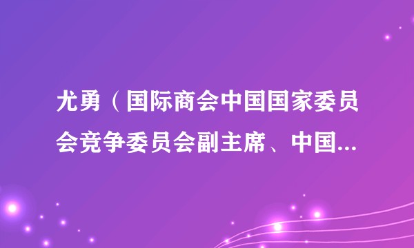尤勇（国际商会中国国家委员会竞争委员会副主席、中国政法大学MBA教育中心兼职教授）