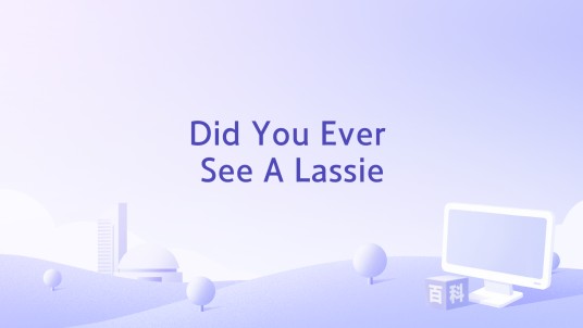 Did You Ever See A Lassie