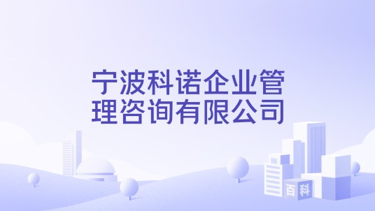 宁波科诺企业管理咨询有限公司