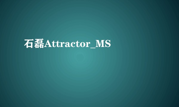 石磊Attractor_MS
