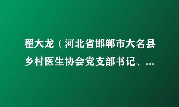 翟大龙（河北省邯郸市大名县乡村医生协会党支部书记、会长，大名县西未庄乡乡村医生）
