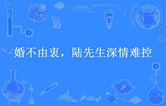 婚不由衷,陆先生深情难控