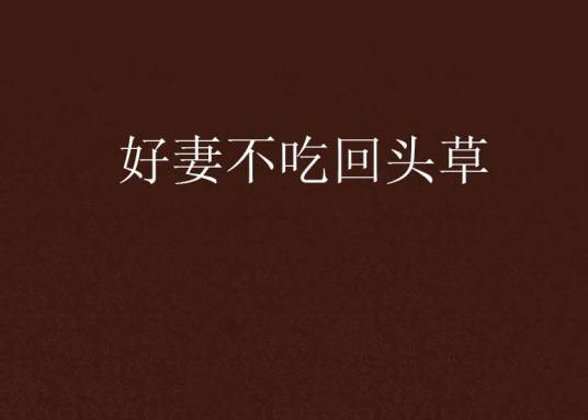 好妻不吃回头草