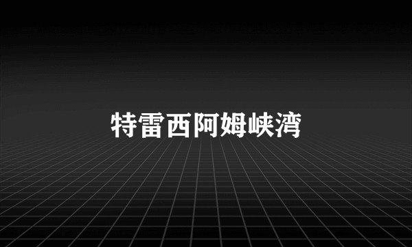 特雷西阿姆峡湾