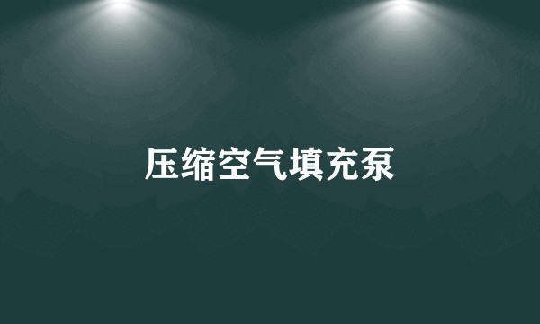 压缩空气填充泵