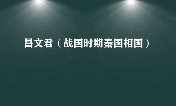 昌文君（战国时期秦国相国）
