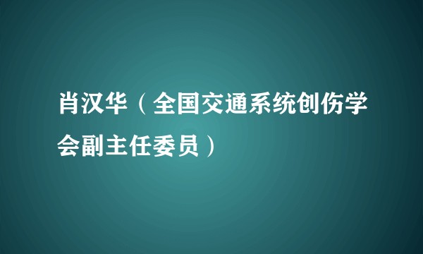 肖汉华（全国交通系统创伤学会副主任委员）