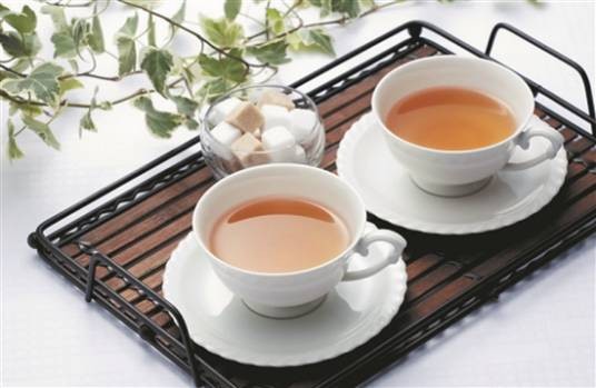 山西油茶