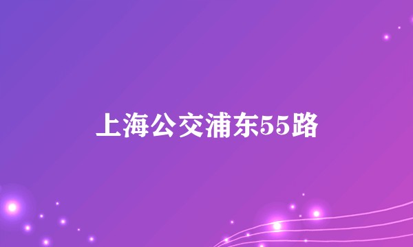 上海公交浦东55路
