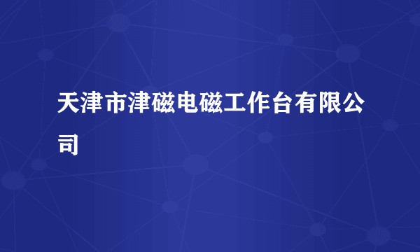 天津市津磁电磁工作台有限公司