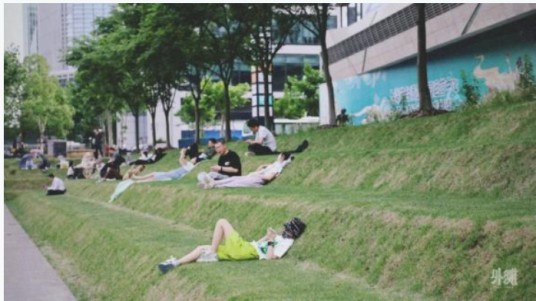 上海徐汇滨江阶梯草坪