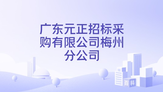 广东元正招标采购有限公司梅州分公司
