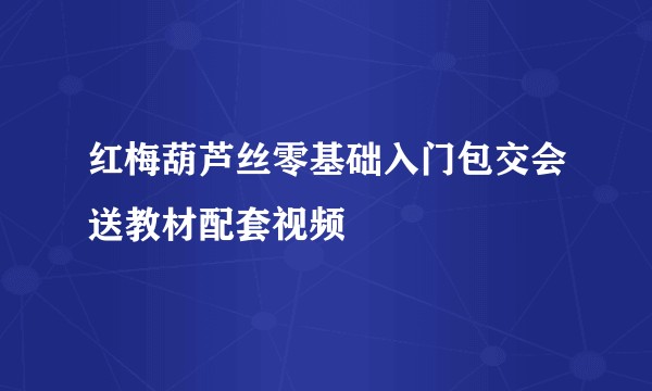 红梅葫芦丝零基础入门包交会送教材配套视频