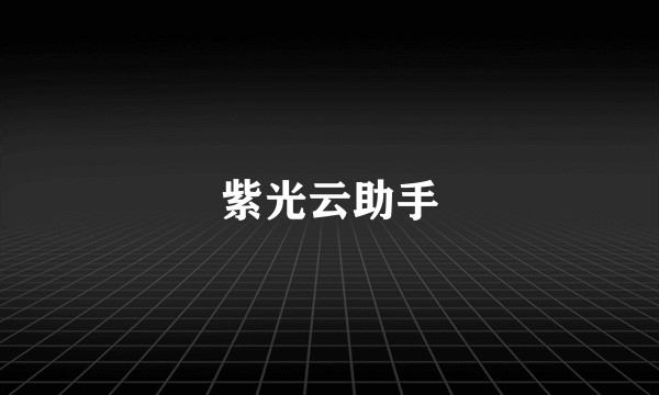 紫光云助手