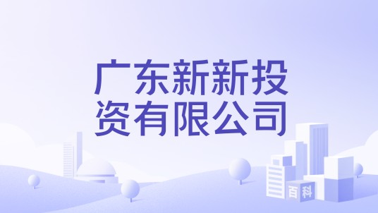 广东新新投资有限公司