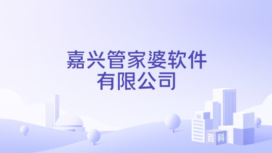 嘉兴管家婆软件有限公司