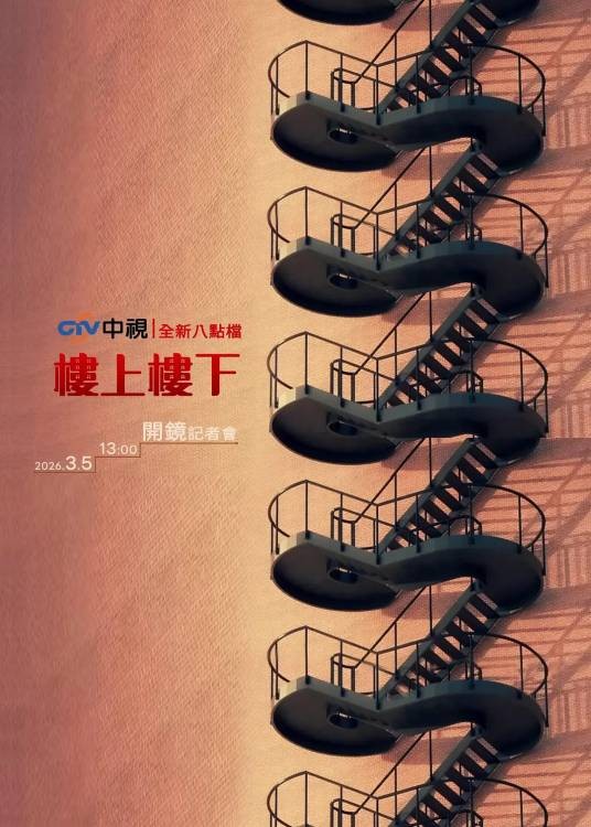 楼上楼下(林桂枝执导的电视剧)