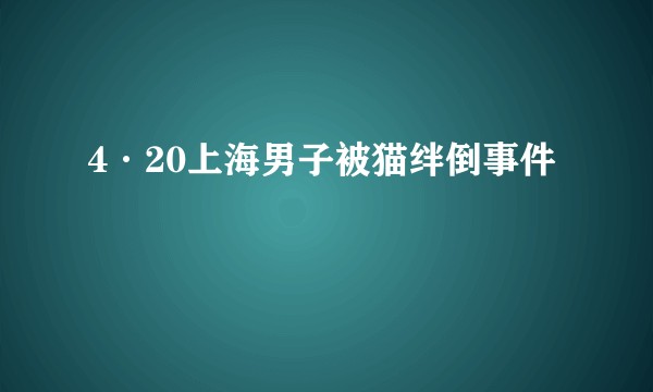 4·20上海男子被猫绊倒事件