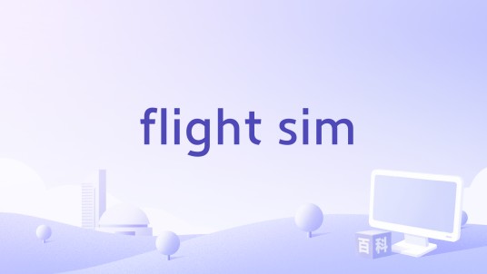 flight sim