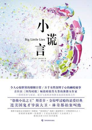 小谎言（2016年广西科学技术出版社出版的图书）