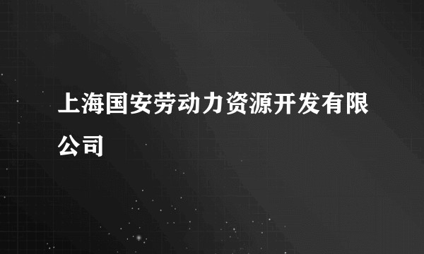 上海国安劳动力资源开发有限公司