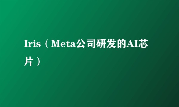 Iris(Meta公司研发的AI芯片)