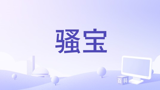 骚宝
