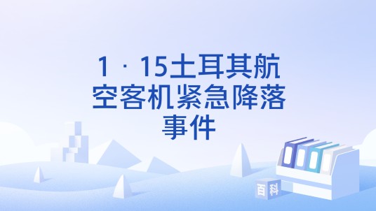 1·15土耳其航空客机紧急降落事件