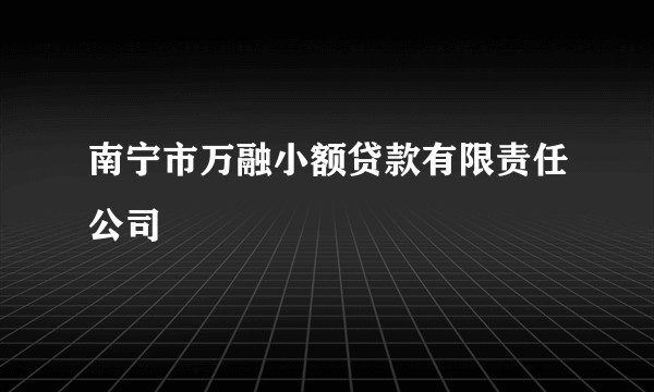 南宁市万融小额贷款有限责任公司