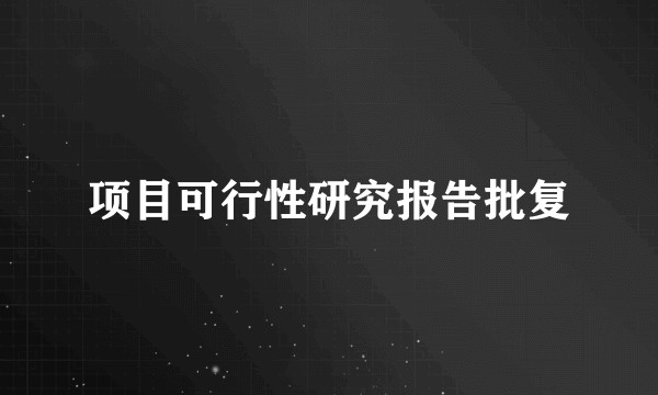 项目可行性研究报告批复
