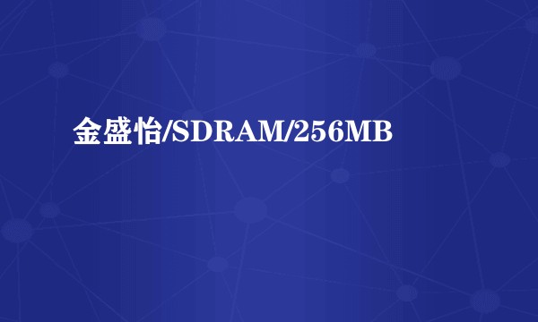 金盛怡/SDRAM/256MB