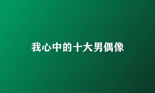 我心中的十大男偶像