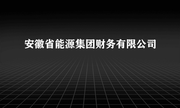 安徽省能源集团财务有限公司