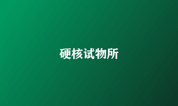 硬核试物所