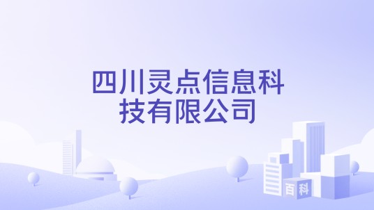 四川灵点信息科技有限公司