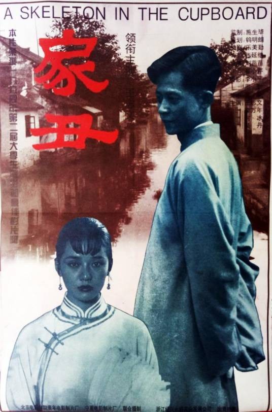 家丑（1994年刘苗苗、崔小芹执导的电影）