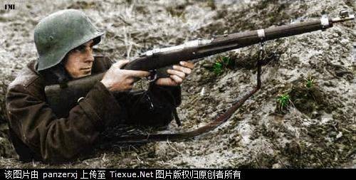 纳粹仆从国
