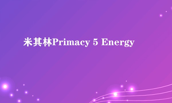 米其林Primacy 5 Energy