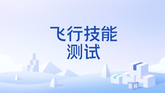 飞行技能测试