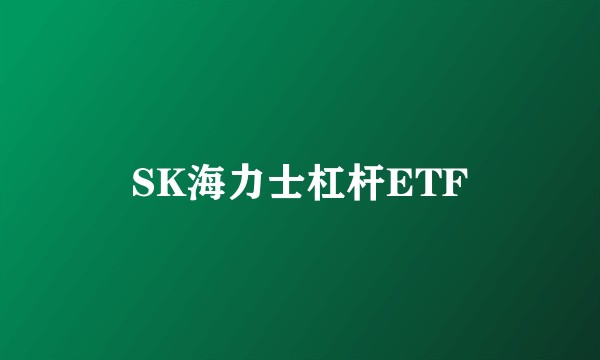 SK海力士杠杆ETF