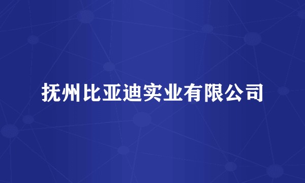 抚州比亚迪实业有限公司
