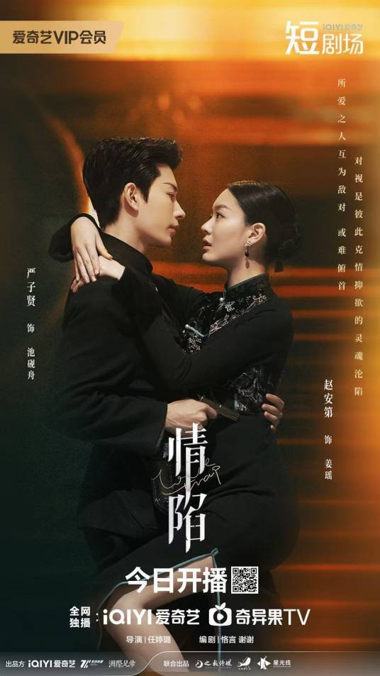 情陷（2024年任婷璐执导的爱情剧）