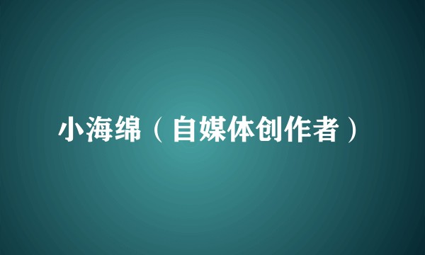 小海绵（自媒体创作者）