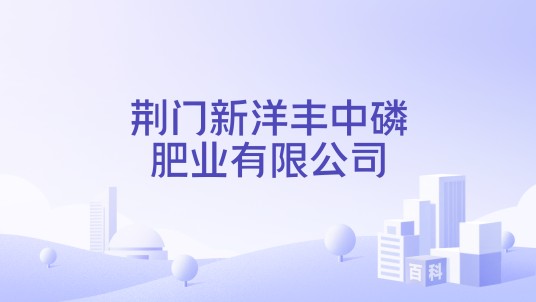 荆门新洋丰中磷肥业有限公司