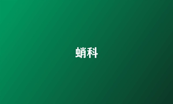 蛸科
