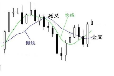随机指数