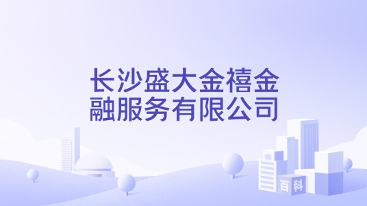 长沙盛大金禧金融服务有限公司